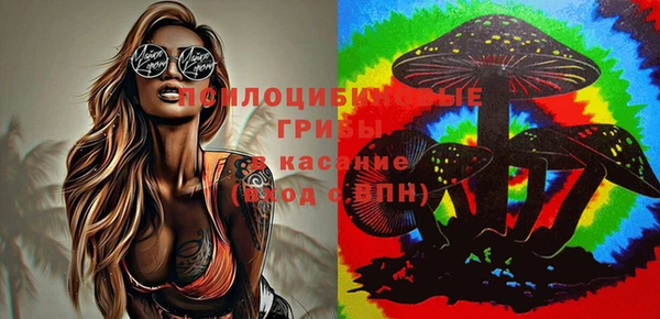 а пвп мука Покров